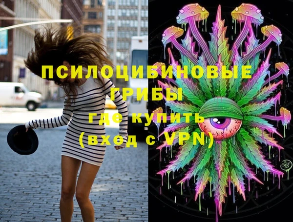 дурь Мегион