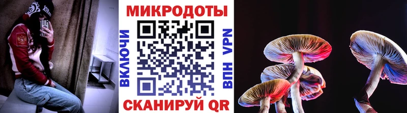 кракен онион  Нелидово  Галлюциногенные грибы GOLDEN TEACHER 