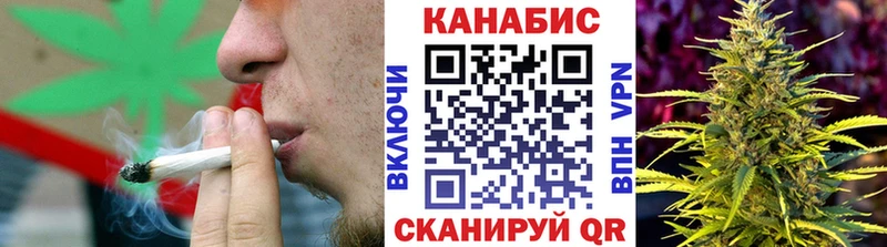 Бошки Шишки гибрид  где купить наркоту  кракен ссылки  Нелидово 